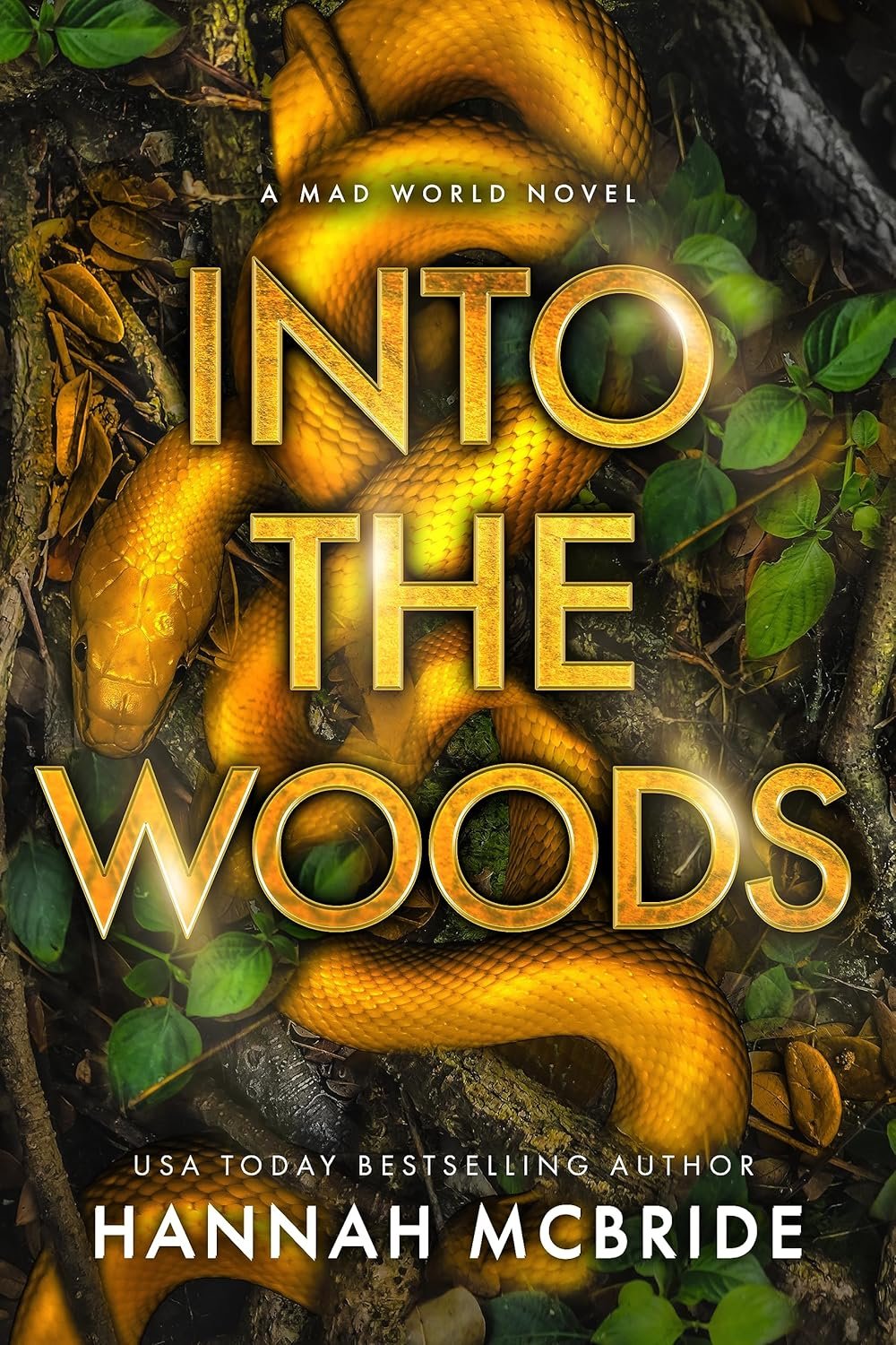 Cover for Into the Woods (Mad World Book 4)